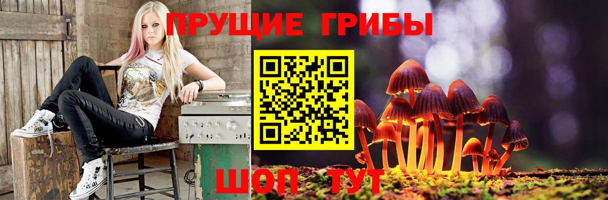 Псилоцибиновые грибы ЛСД  Вход с VPN  Златоуст 